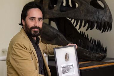 O professor deixou o cargo de presidente da Sociedade Portuguesa  de Paleontologia com o  escândalo  das denúncias