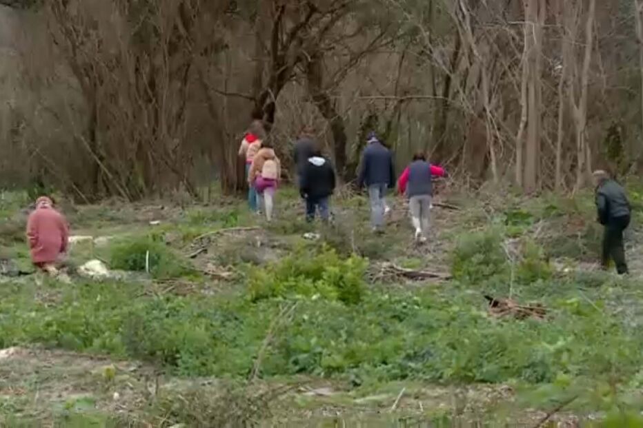 Familiares fazem buscas por Mónica Silva