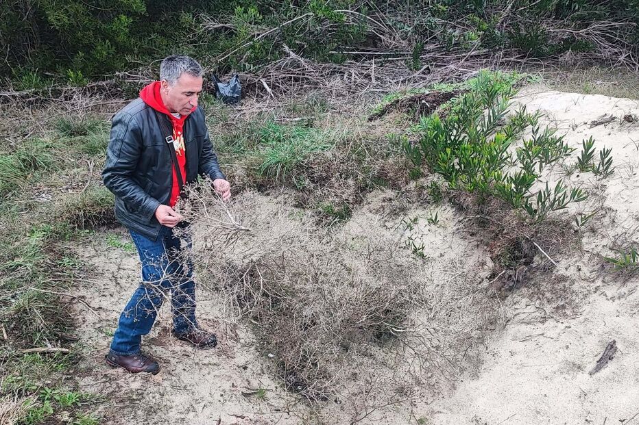 Populares encontram vala suspeita em área de buscas por grávida	