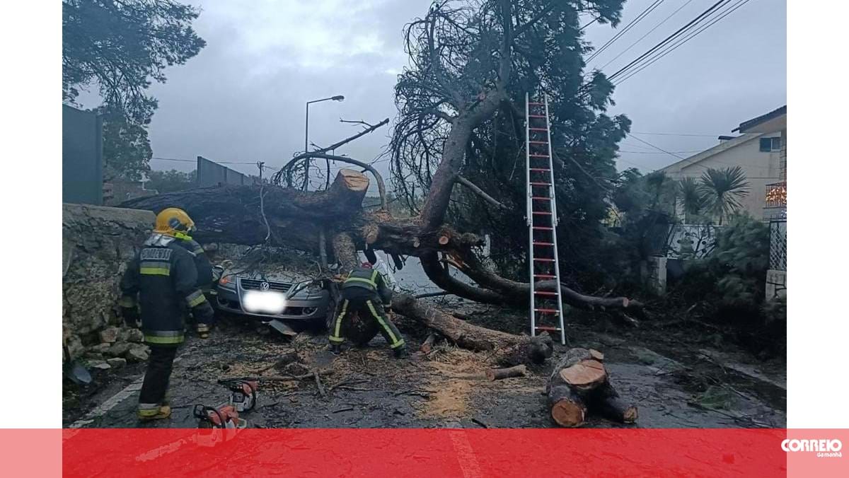 Queda de árvore de grande porte atinge viatura em Sintra