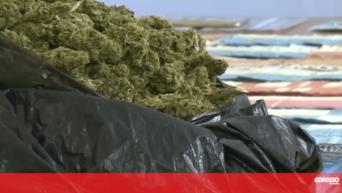 Jovens escondem droga nas cuecas para vender na Queima das Fitas de Coimbra