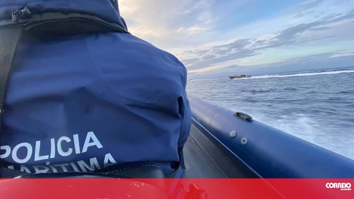 Polícia Marítima deteve cinco pessoas e apreendeu 12 toneladas de ameijoa japónica em Palmela – Portugal