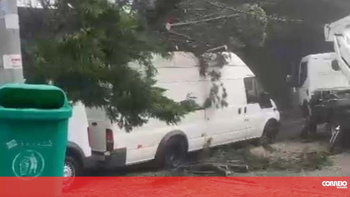 Queda de árvore provoca danos em carros no Porto