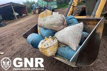 GNR, Azeitonas, Beja, Furto, Crime 