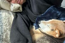 Sara Sampaio e o seu cão South