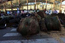 Protesto dos agricultores em França