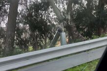 Radar de velocidade em Baleizão cortado com rebarbadora