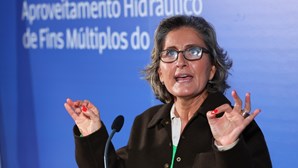 Ex-ministra Ana Abrunhosa preside à comissão da Saúde e Brilhante Dias à do Trabalho