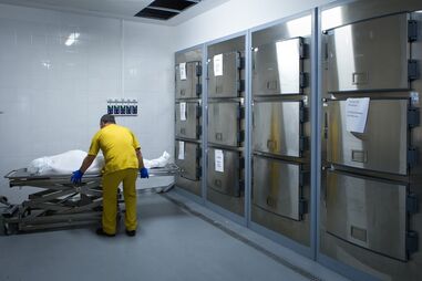 Mortalidade xxx morgue xxx morto xxx mortes xxx