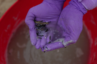 Minúsculas bolas de plástico 