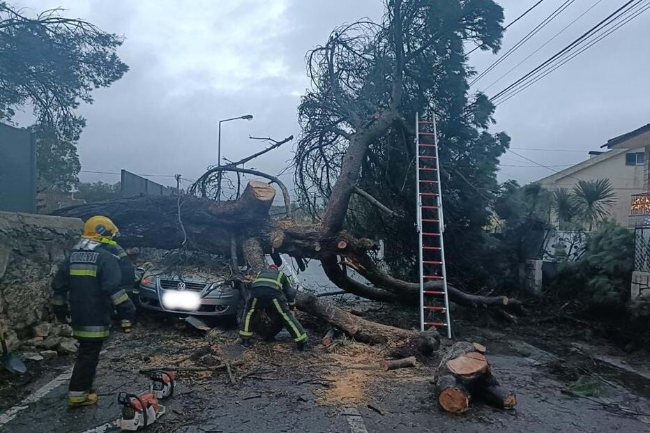 Queda de árvore de grande porte atinge viatura em Sintra