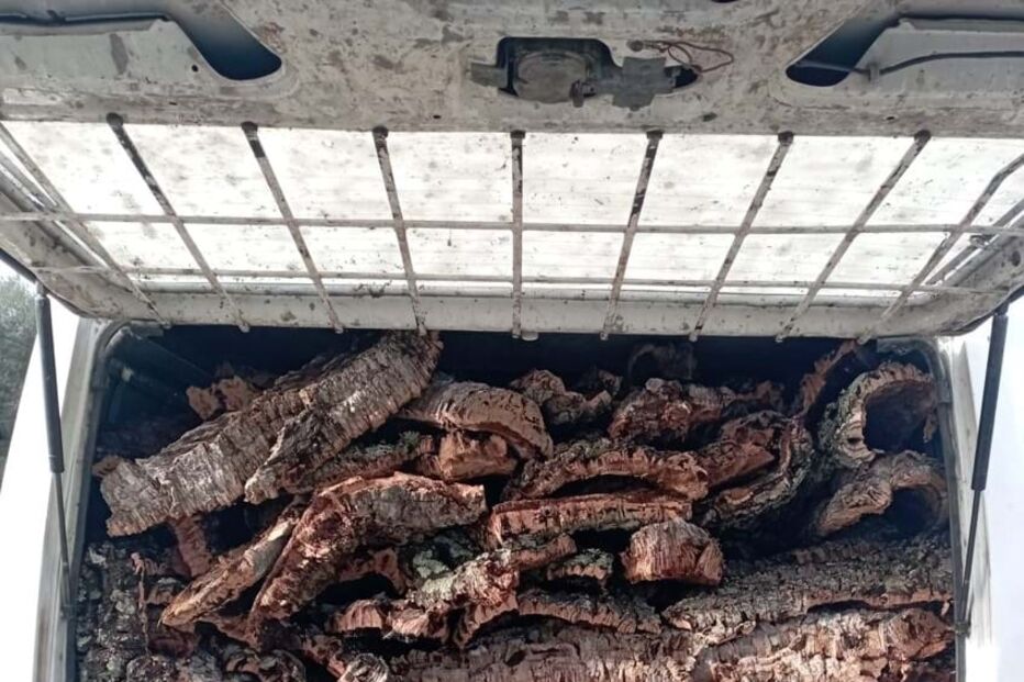 Cortiça alegadamente furtada