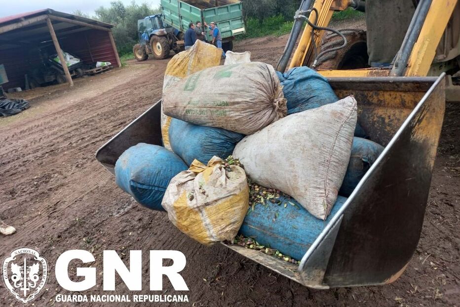 GNR, Azeitonas, Beja, Furto, Crime 