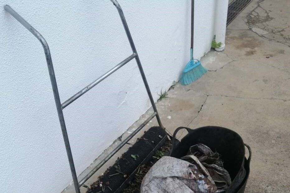 GNR, Azeitonas, Beja, Furto, Crime 