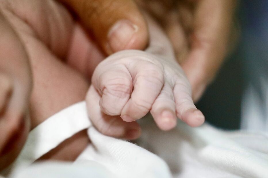 Natalidade subiu em 2023