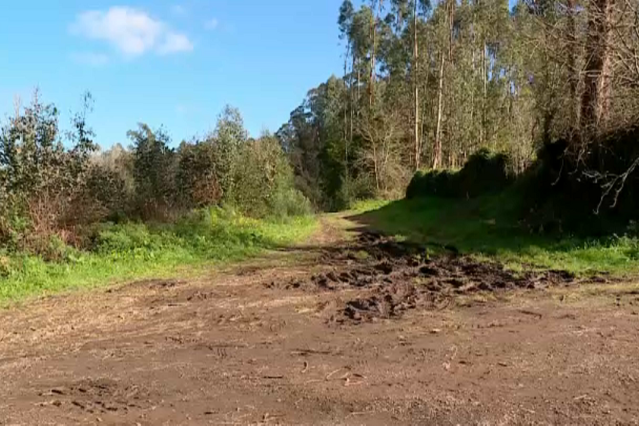 Cadáver de mulher encontrado em poço tinha marcas de agressões no rosto