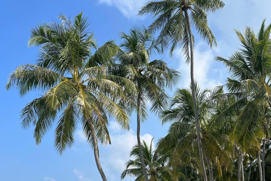 Cristina Ferreira está de férias num sítio desconhecido