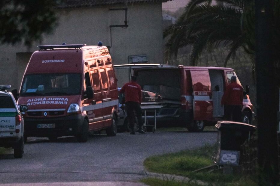 Picada de abelhas poderá ter sido fatal para apicultor 