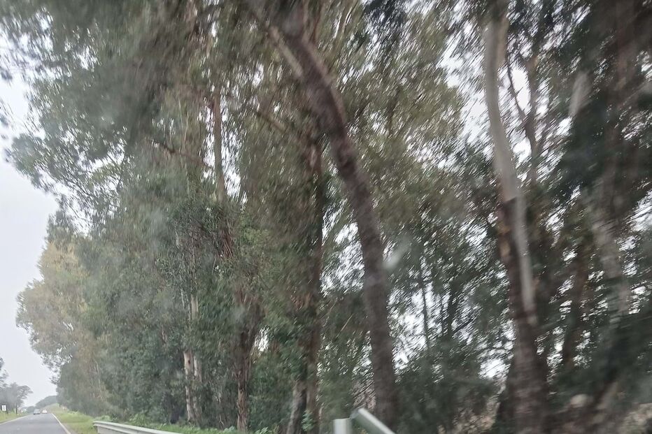 Radar de velocidade em Baleizão cortado com rebarbadora