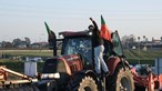 Protesto dos agricultores condicionam acesso à Ponte Vasco da Gama e bloqueiam Baixa de Coimbra