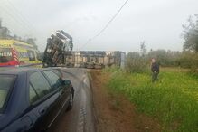 Despiste de camião na EN365 na Golegã