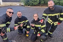 Falso crocodilo mobiliza bombeiros da Parede