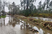 Chuva e vento causam estragos a Norte