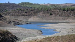 Agricultores do Algarve só aceitarão cortes de água iguais para todos