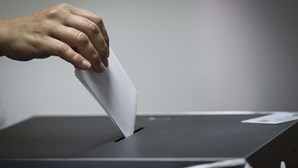 SOS Racismo desafia partidos a alargarem direito de voto a imigrantes