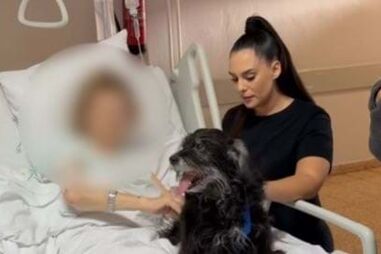 Associação ajuda a realizar desejo de doente terminal que queria despedir-se da cadela de 13 anos