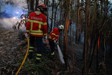 Investigação na Proteção Civil: Negócios com duas empresas levantam suspeitas