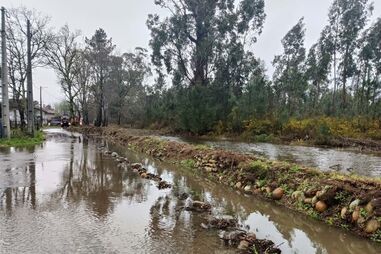Chuva e vento causam estragos a Norte