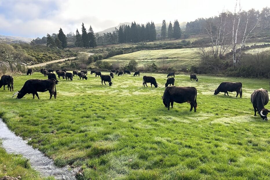 Projeto Life Maronesa