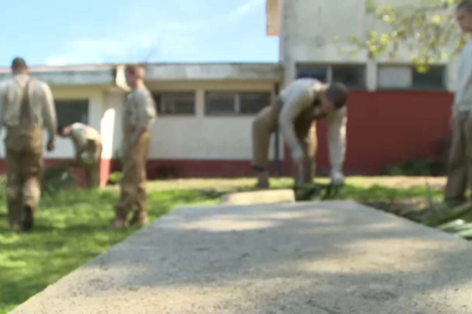 123 jovens internados por 410 crimes graves