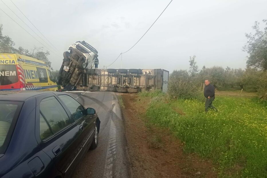 Despiste de camião na EN365 na Golegã