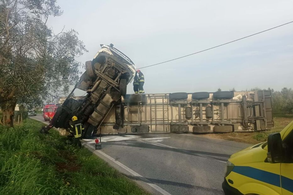 Despiste de camião na EN365 na Golegã