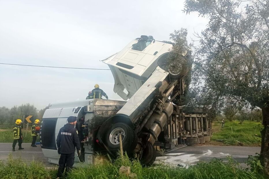 Despiste de camião na EN365 na Golegã