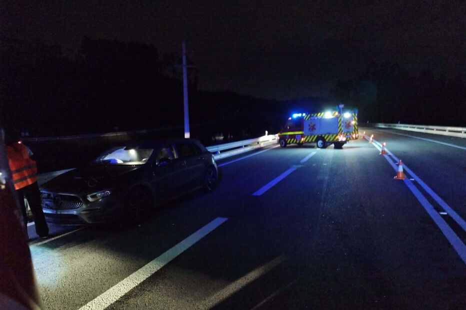 Três mulheres feridas ao atropelar animal em Arouca