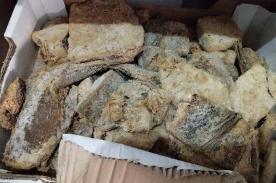 ASAE apreende mais de 10 toneladas de bacalhau de anexo de moradia em Tondela