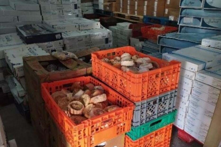 Autoridade apreendeu ainda 235 quilos de queijo e 621 quilos de produtos à base de carne