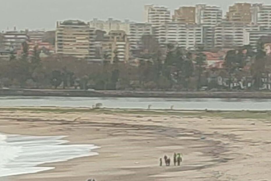 Corpo de mulher encontrado numa praia em Gaia