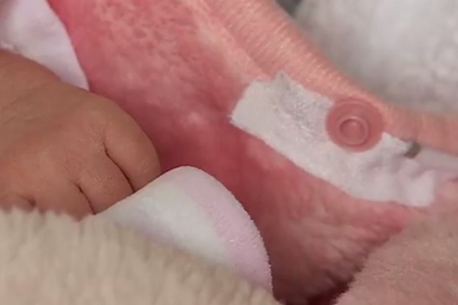 Empresário atira filho recém-nascido contra a parede