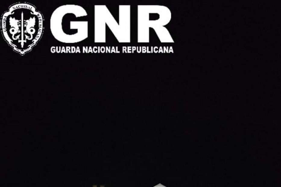 Apreensão de 3 toneladas de haxixe