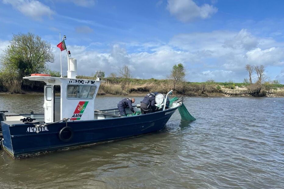 Polícia Marítima apreende 13 quilos de meixão no rio Tejo