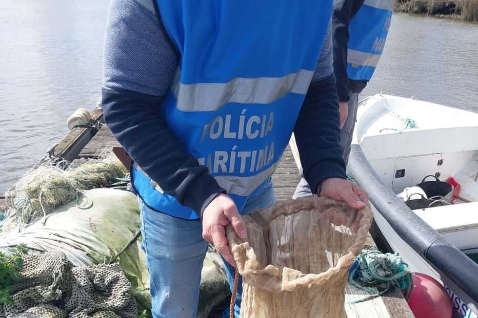 Polícia Marítima apreende 13 quilos de meixão no rio Tejo
