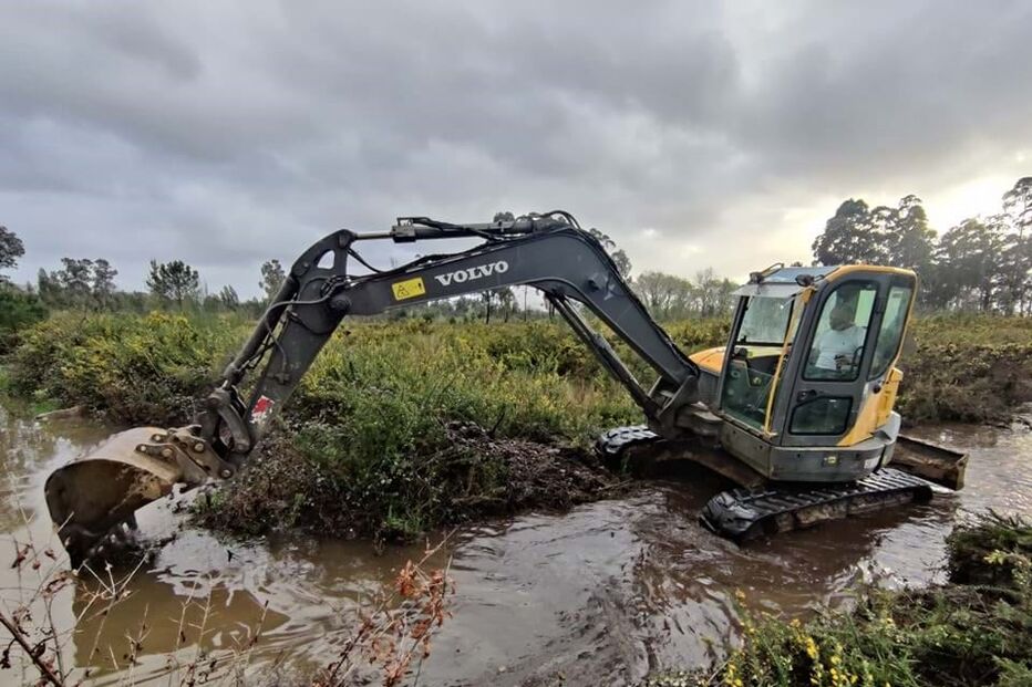 Chuva e vento causam estragos a Norte