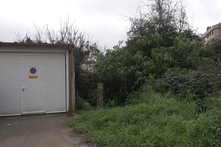 Imagem VLCSNAP-2024-02-25-15H47M47S631.JPG (20533314) (Milenium)