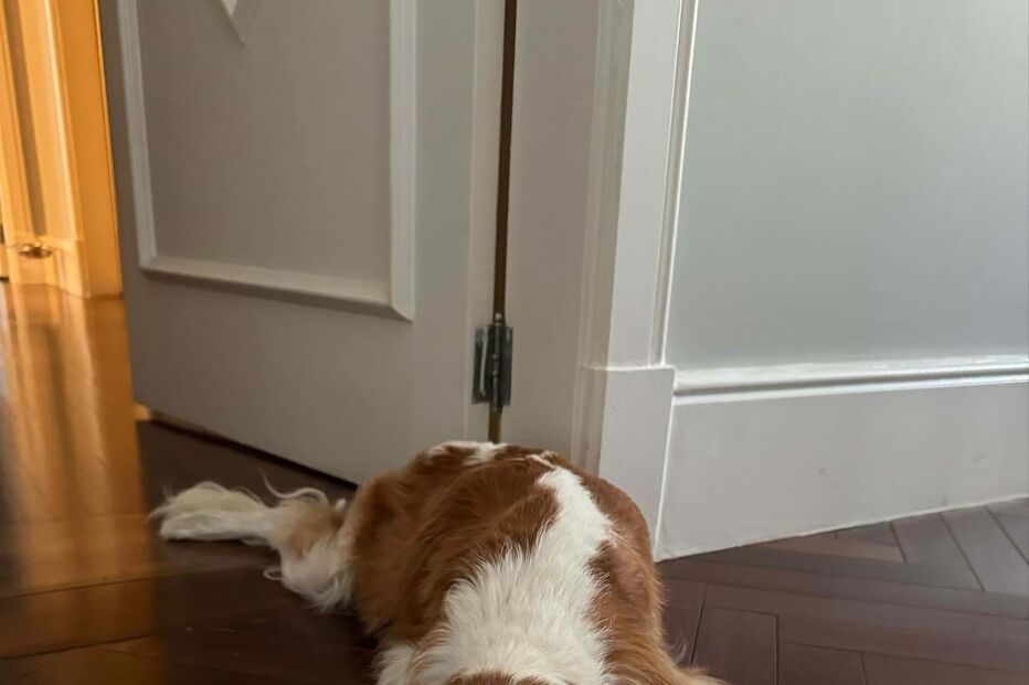 Rubens Barrichello com o cão