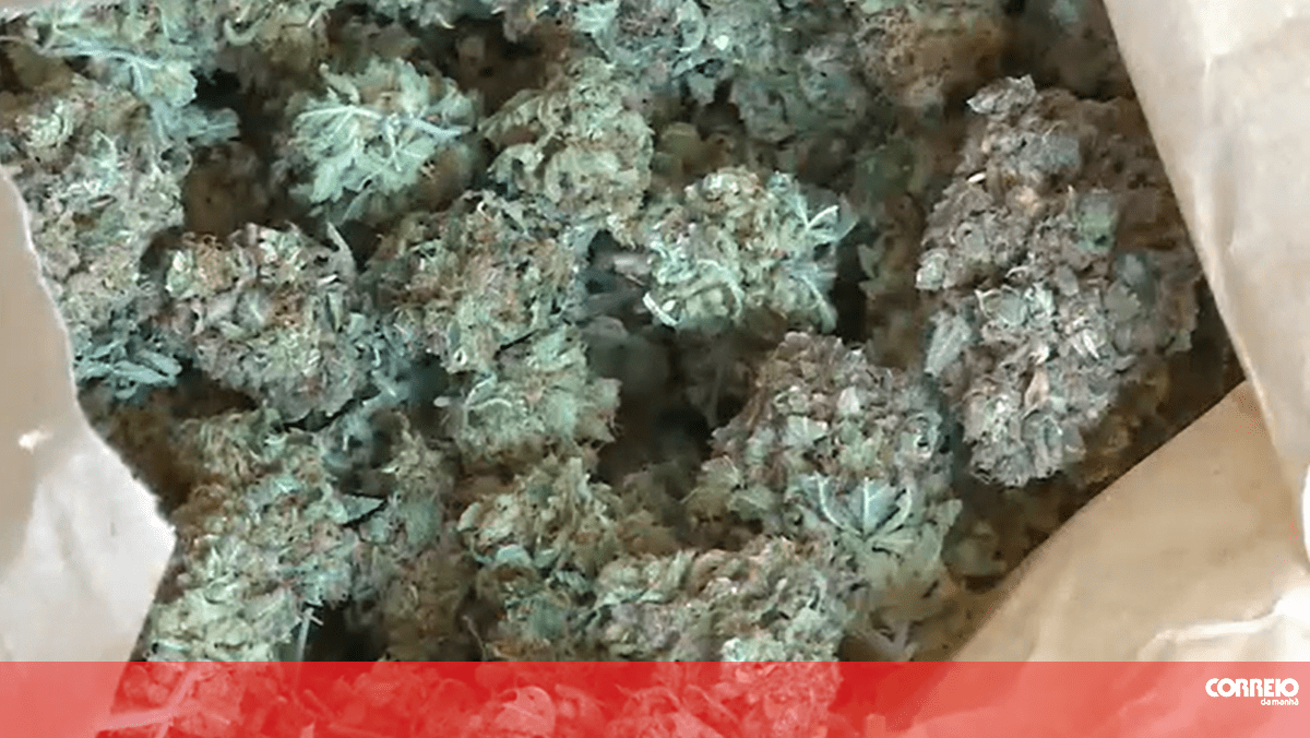 Detido suspeito de pertencer a rede de tráfico de droga internacional