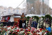 Flores na campa de Alexei